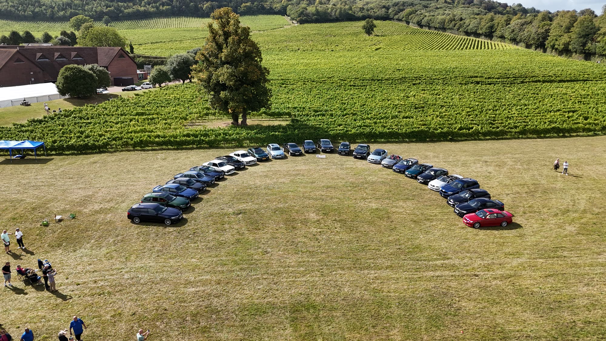 Aerial photo of club cars parked in a wide arc on a field below a vineyard